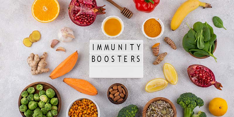 Immune System Guide